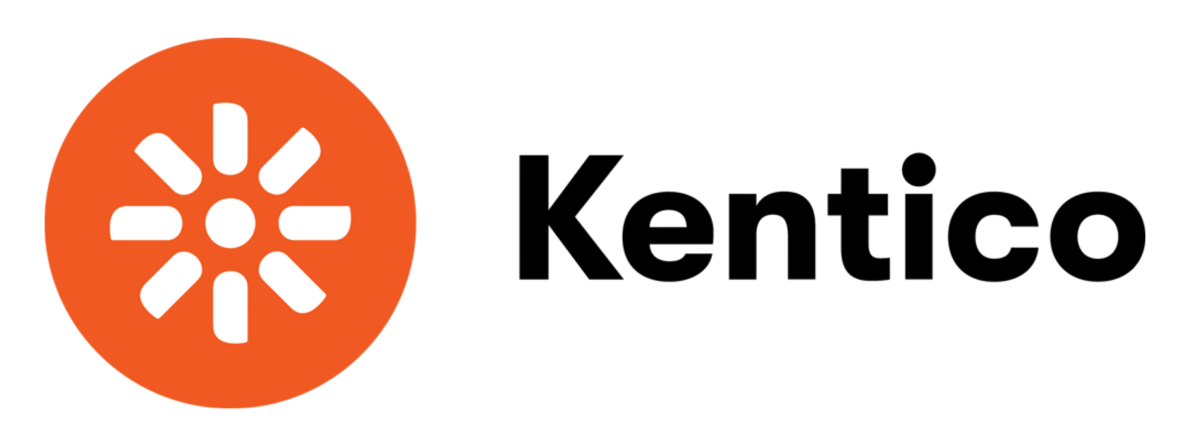 Kentico development by Team Webixus