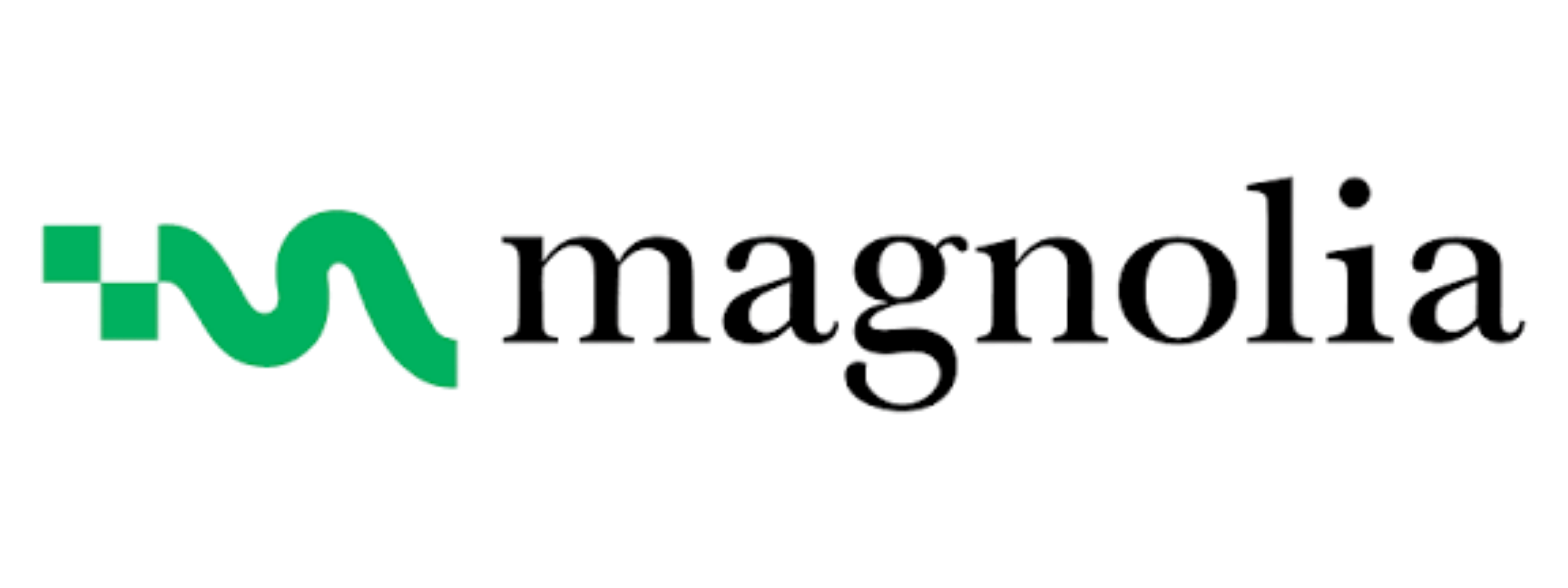 Magnolia development by Team Webixus