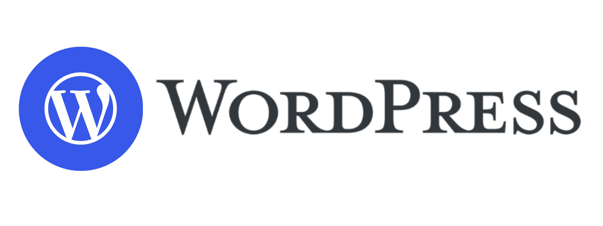 WordPress development by Team Webixus